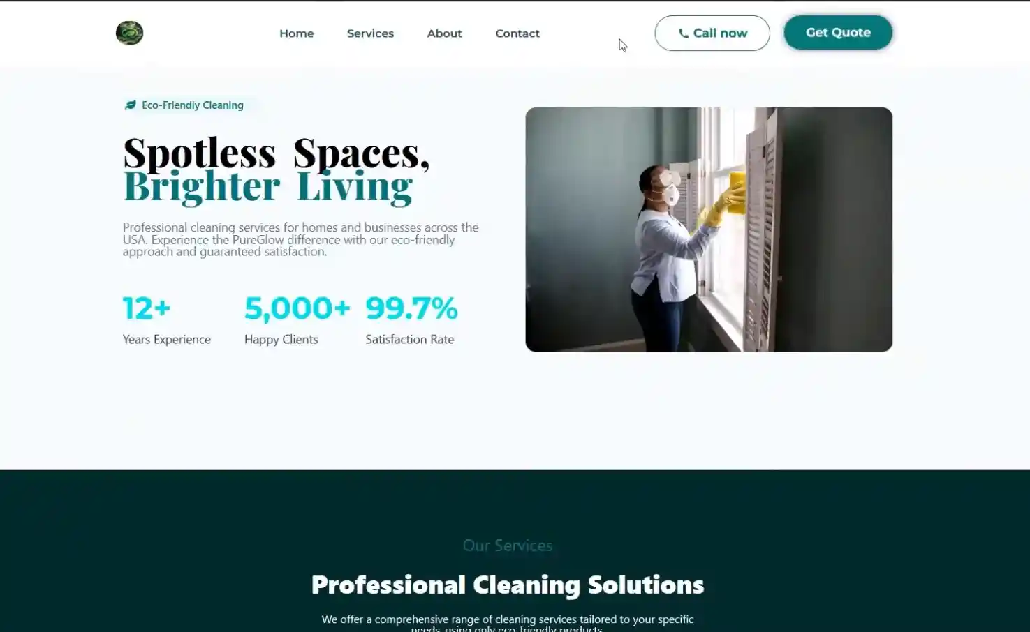 Cleaning Website